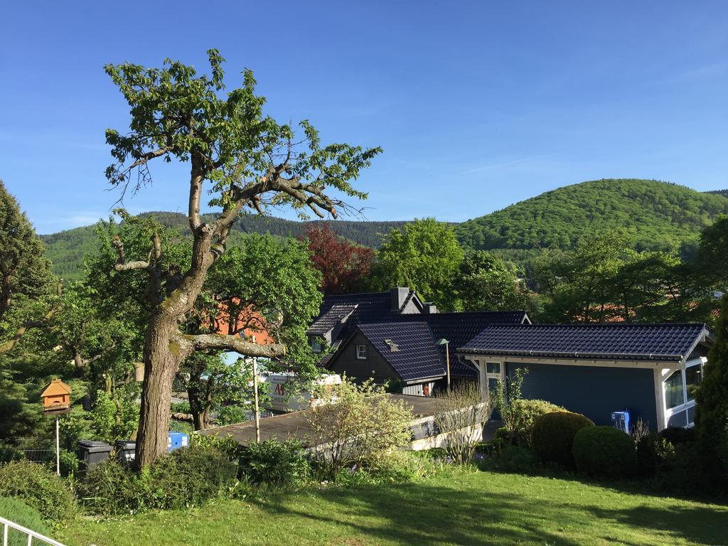 Ferienhaus Goethestrasse Bad Harzburg Luaran gambar